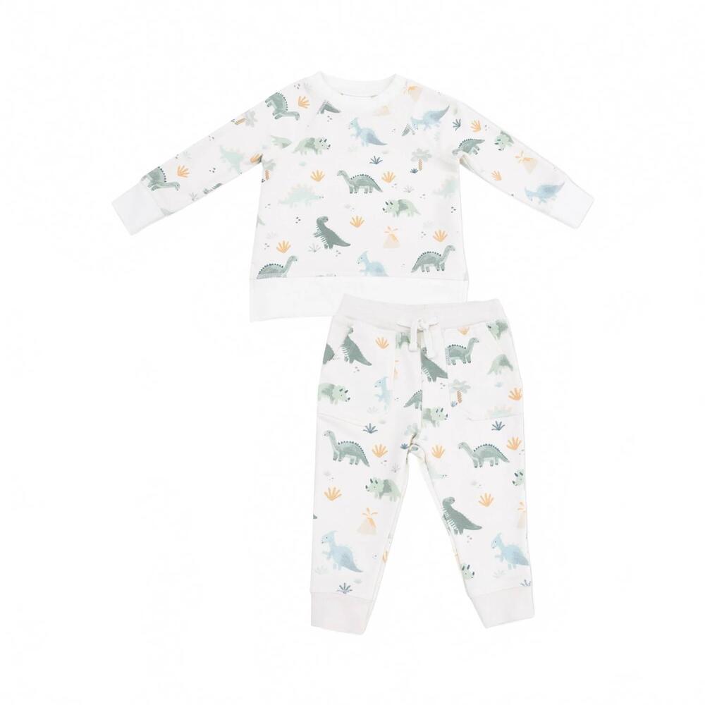 NEW ANGEL DEAR boys french terry raglan sweatshirt & jogger set in soft dinos